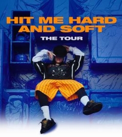 怪奇比莉－溫柔重擊巡迴演唱會3D電影