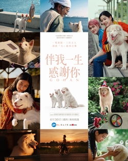 伴我一生，感謝你